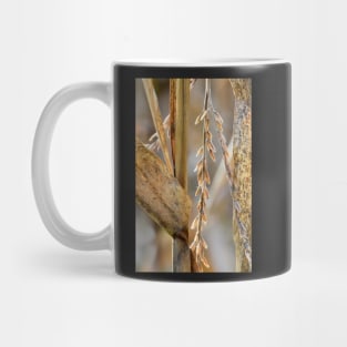 Corn Stalk details Mug